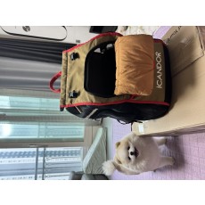 아이캔더 지게백