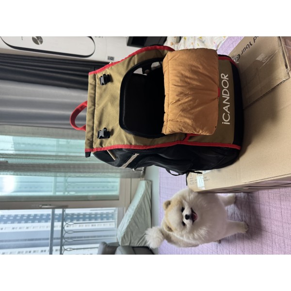 아이캔더 지게백